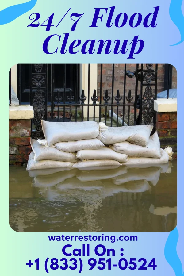 24/7 Flood Cleanup in Corona, SD