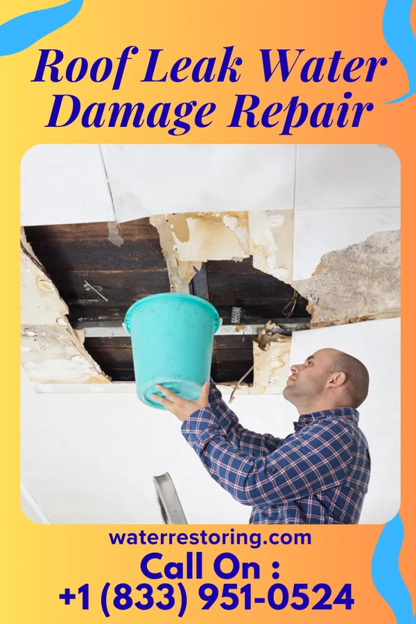 Roof Leak Water Damage Repair in Corona, SD