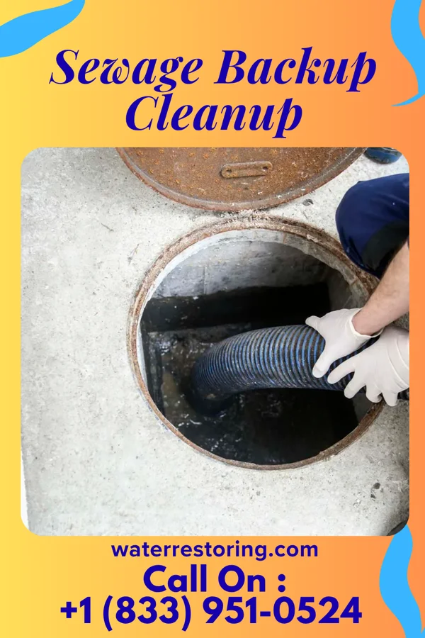 Sewage Backup Cleanup in Corona, SD