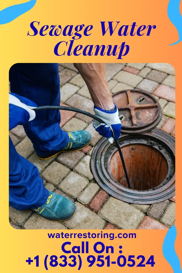 Sewage Water Cleanup in Corona, SD